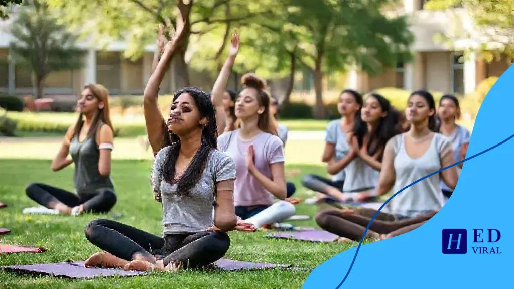 Student wellness programs: enhancing mental health support